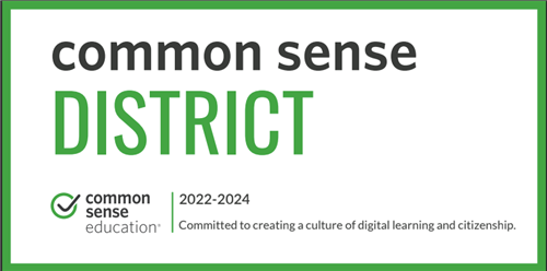 Common Sense District Badge