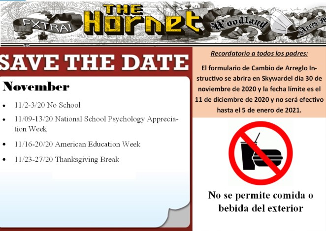 Newsletters