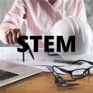 stem13