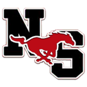 NS Logo 