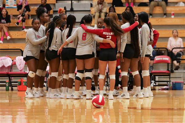 Volleyball game