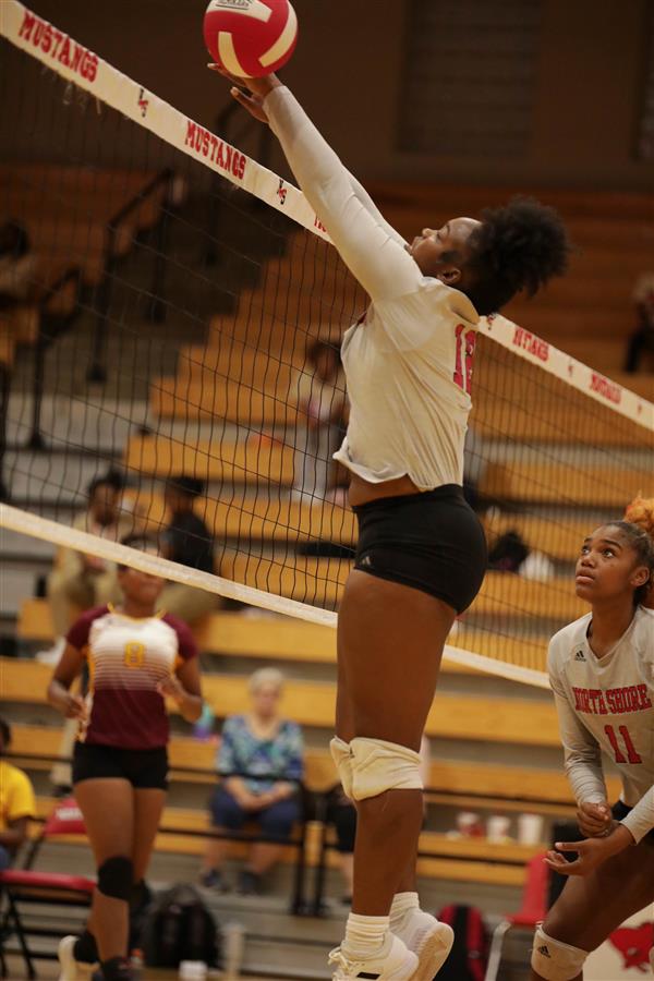 Volleyball