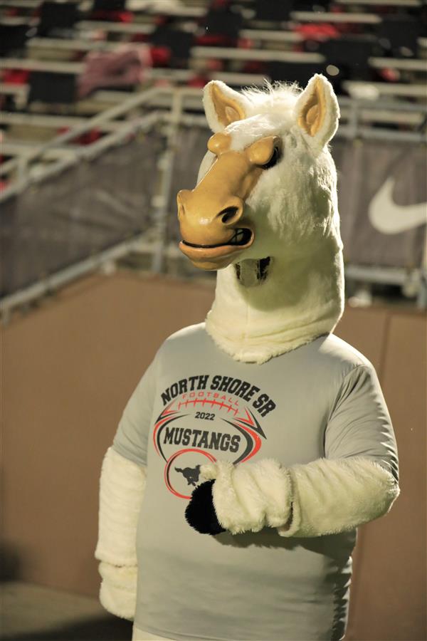 Thunder the mascot